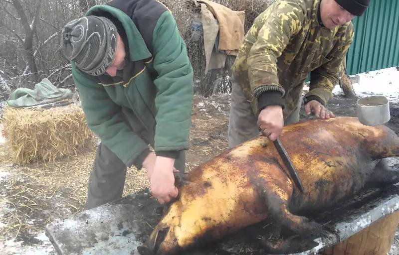 Sfaturi de la pompieri pentru prevenirea evenimentelor neplăcute pe timpul sacrificării porcilor sau a pregătirii preparatelor din carne