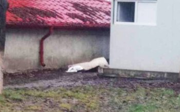 Caz șocant: O femeie a …