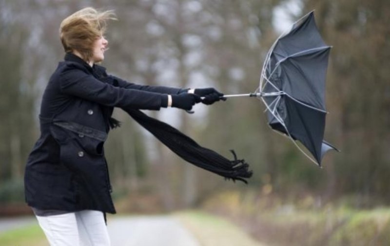 Alertă meteo de precipitații și vânt puternic în aproape toată ţara. Este vizat şi județul Botoșani