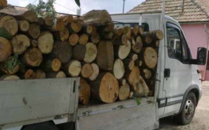 Botoșani: Transport ilegal de lemne depistat de polițiști