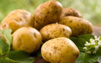 Cartofii, un adevărat medicament pentru …