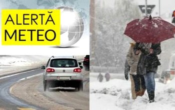 Cod galben de ninsori și …