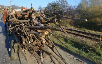 Trei bărbați din Rediu cercetați …