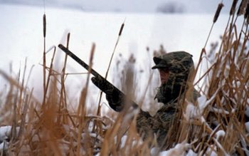 Trei persoane sancționate cu aproape …