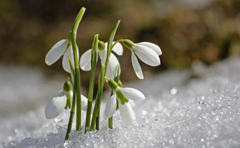 Meteorologii anunță de când se va încălzi vremea. Prognoză meteo pentru 1 şi 8 Martie