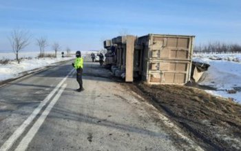 Un camion încărcat cu cereale …