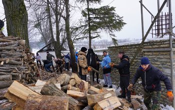 Fapte bune pentru Botoșani - …