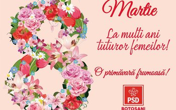 Organizaţia Femeilor Social Democrate din …