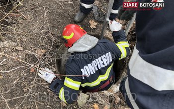 Pompierii dorohoieni eroi pentru necuvântătoare: …