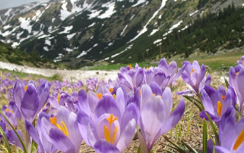 Prognoza meteo pentru finalul lui martie și luna aprilie. Când se încălzește vremea