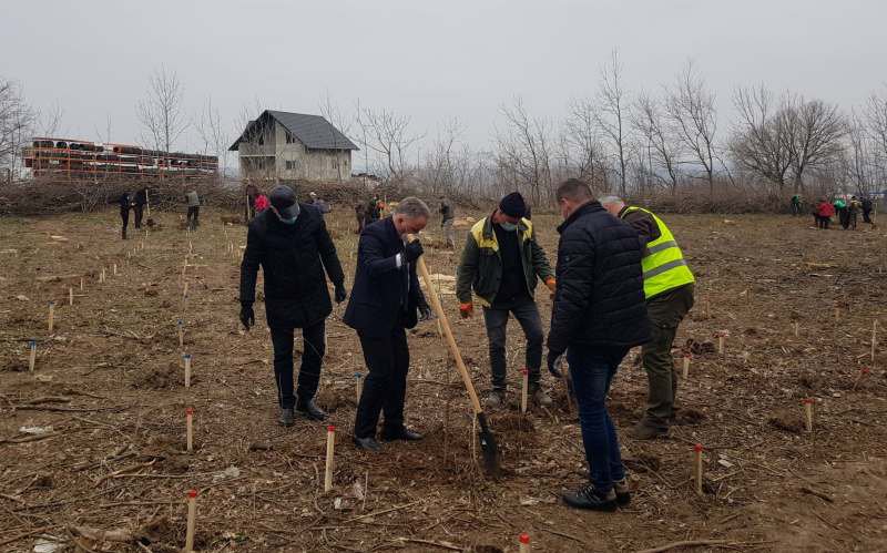 Prefectul Dan Nechifor a dat startul „Lunii plantării arborilor” - FOTO