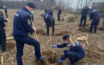 171 de stejari pentru România! …