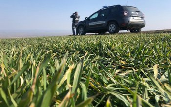 Peste 1.000 de poliţişti de …