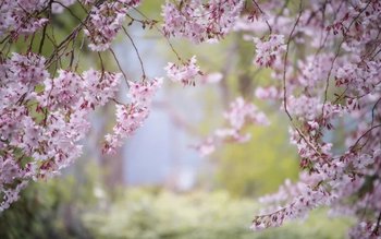 Horoscopul săptămânii 4 -10 aprilie. …