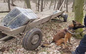 Lovitură de peste 315.000 de …