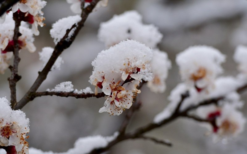 Prognoza ANM se schimbă radical. Meteorologii anunță vreme rea. Ploi, lapoviţă şi ninsoare în toată țara