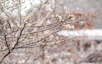 Iarna se întoarce în România: …