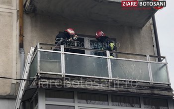 Câinii uneia dintre victimele accidentului …