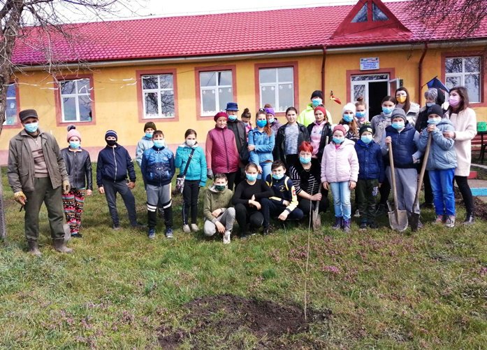 „UN POM – O VIAȚĂ” - activitate în comuna Viișoara - FOTO