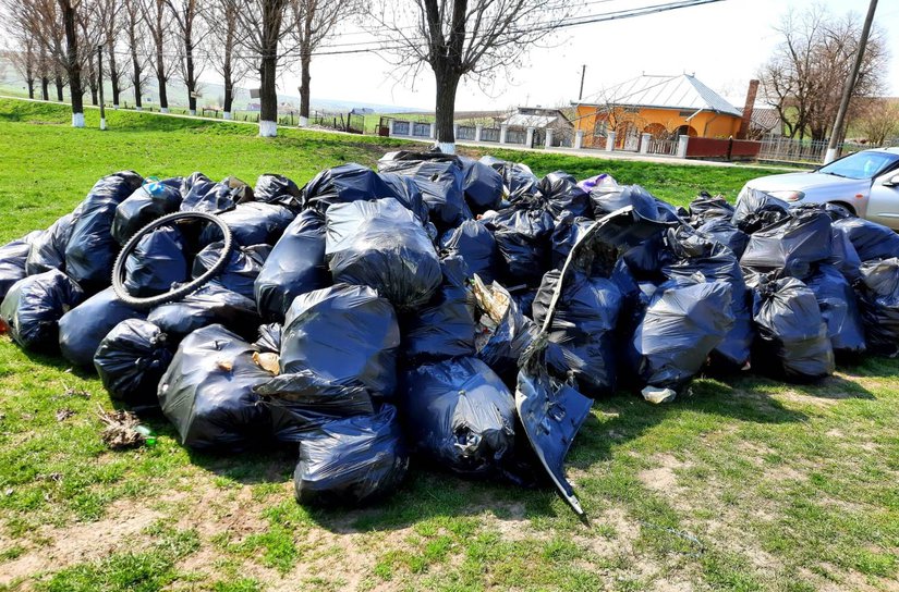 Ziua Pământului, marcată în județul Botoșani - FOTO