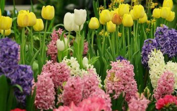 Ce nume se sărbătoresc de …