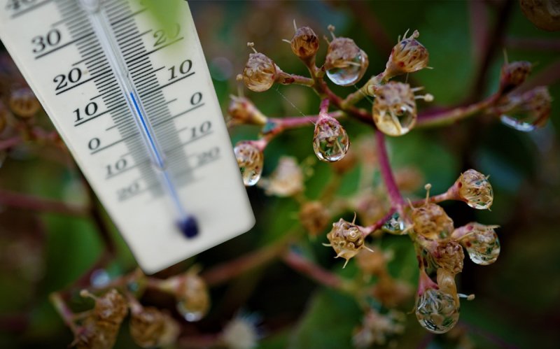 Meteo 30 aprilie – 2 mai. Temperaturile „sar în aer”. Unde vor fi 25-30 de grade Celsius