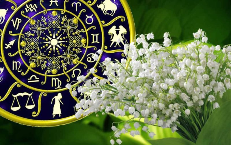 Horoscopul lunii mai. Zodia care dă lovitura luna viitoare, va fi perfect pentru ea