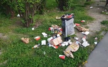 Șeful Gărzii de Mediu a …