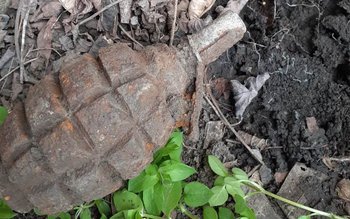Grenadă descoperită în grădina unui …