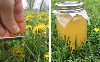 Cum se prepară vinul medicinal …