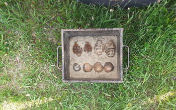 Descoperire mai puțin obișnuită într-o …