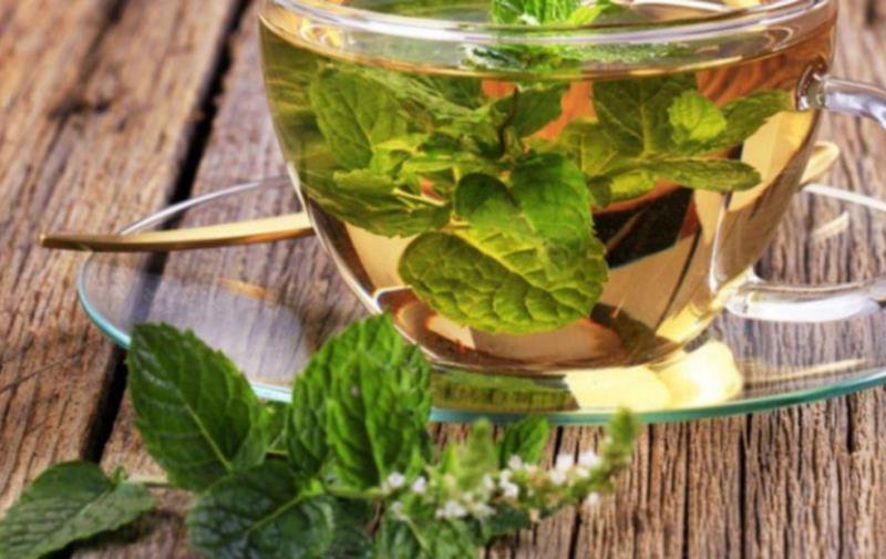 Cum se prepară corect ceaiul de mentă pentru a fi un sprijin pentru sănătate