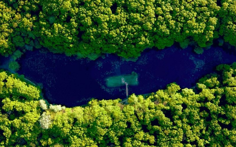 BOTOȘANI! Să păstrăm, cu inimile curate, puritatea naturii!