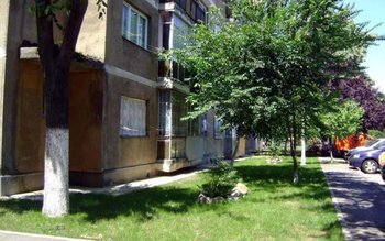 Cine poate amenaja spațiul din …