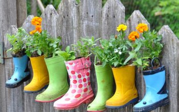 Prognoza meteo 1 - 14 …