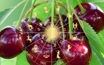 Horoscopul lunii iunie: Racii fac …