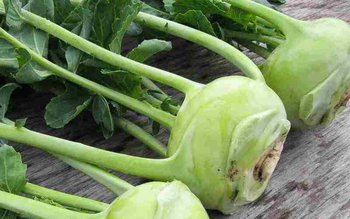 Leguma care poate ușura viața …