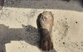 Bombă de aruncător, descoperită la …