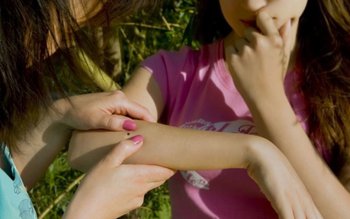 Ai fost mușcat de o …