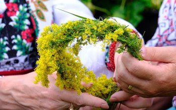 Sânzienele sau Drăgaica: Ritualuri și …