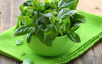 Cum folosim busuiocul în afecțiunile …