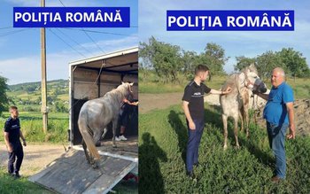 Cruzime fără margini la Vorona. …