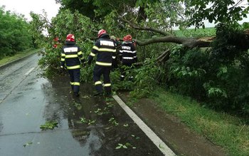 Pompierii au fost solicitați să …