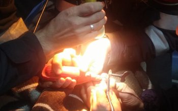 Misiune inedită a pompierilor botoșăneni. …