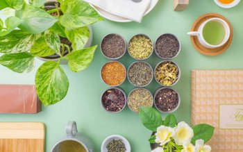 Plante care țin stresul la …