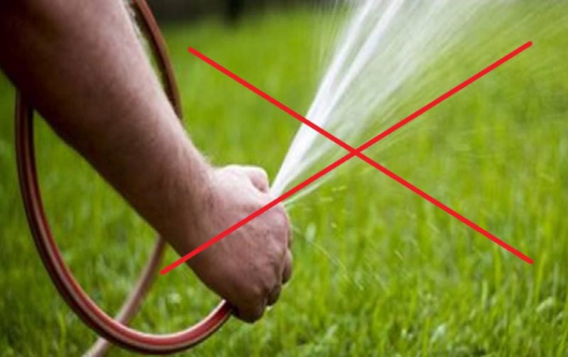 Stop risipei! Compania de Apă roagă cetățenii să nu ude grădinile folosind apa de la robinet