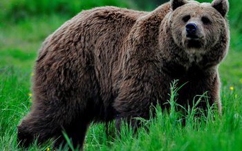 Guvernul a adoptat ordonanța de …