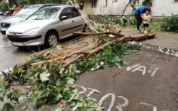 Acoperișuri smulse și copaci doborâți …