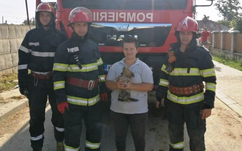 Cățel salvat de la moarte sigură de pompierii din Flămânzi