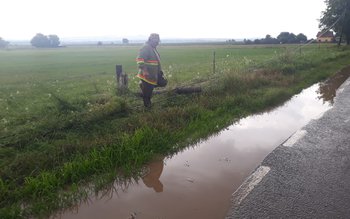 Vijelia a făcut din nou …